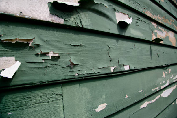 Professional Junk Removal in Pion Hills, CA